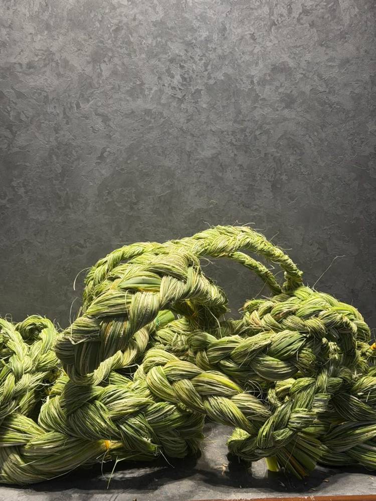 Thick braids of green grass coiled on the studio bench