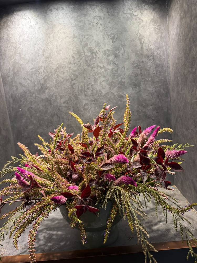 Pink celosia plumes and dark foliage in a low bowl