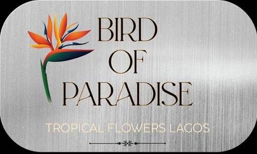 Bird of Paradise, Tropical Flowers Lagos