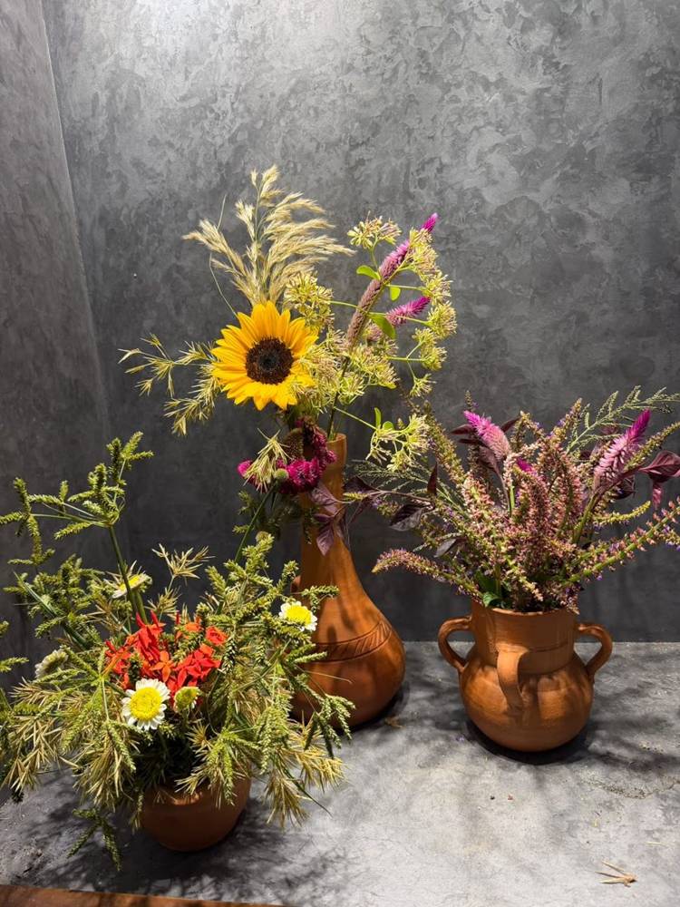 Sunflower, celosia and grasses in three terracotta pots